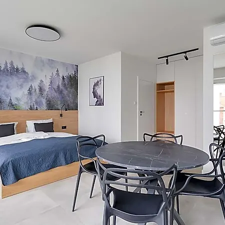酒店 Poznan Apartments 波兹南