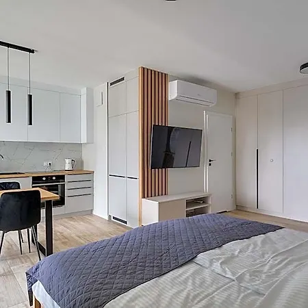 Poznan Apartments 酒店